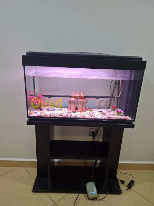 Aquarium