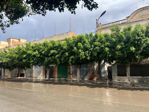 Vente Villa Relizane Relizane