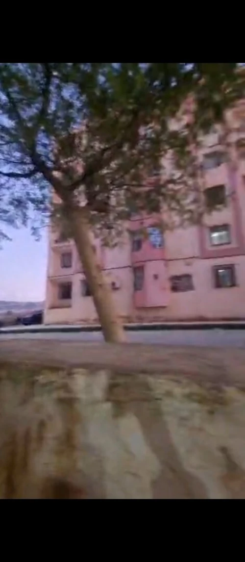 Vente Local Tlemcen Mansourah