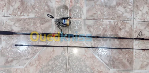 Canne a pêche pourspining DAIWA en  carbon 