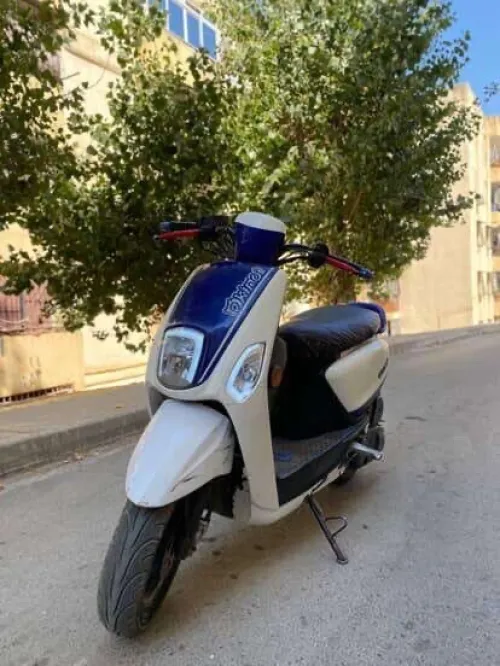 vms Coxi2 2021