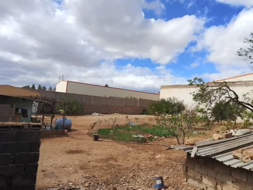 Vente Terrain Tlemcen Remchi