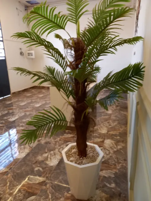 Location Appartement F3 Oran Bir el djir