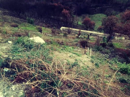 Vente Terrain Tizi Ouzou Ain el hammam