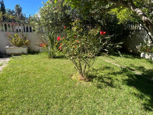 Location Appartement F4 Alger Hydra