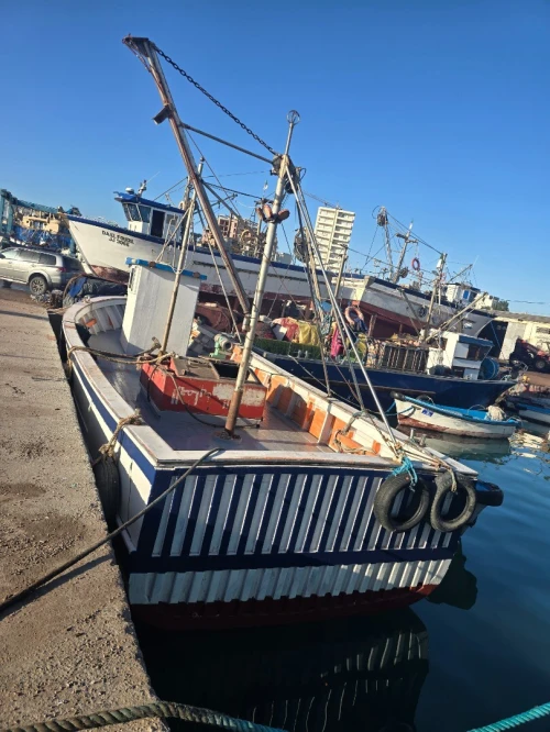 Sardinier 13m construction bois