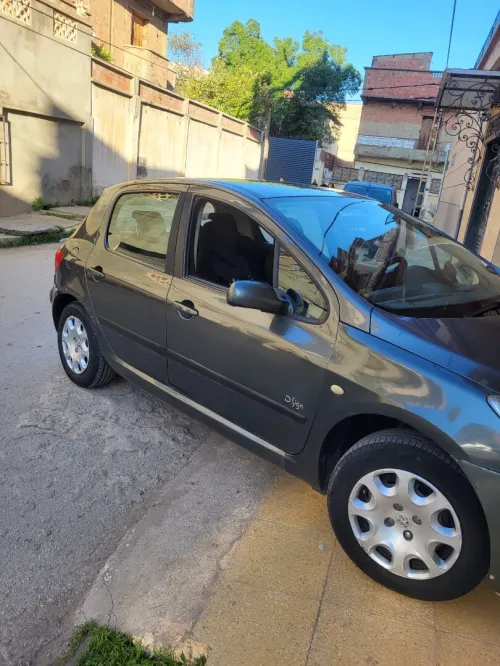 Peugeot 307 2008 