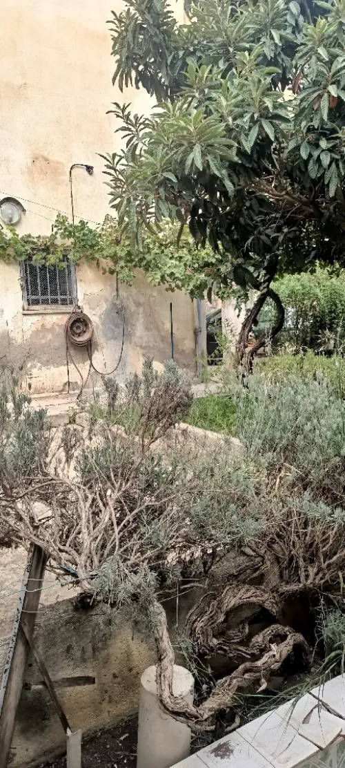 Vente Villa Constantine Constantine