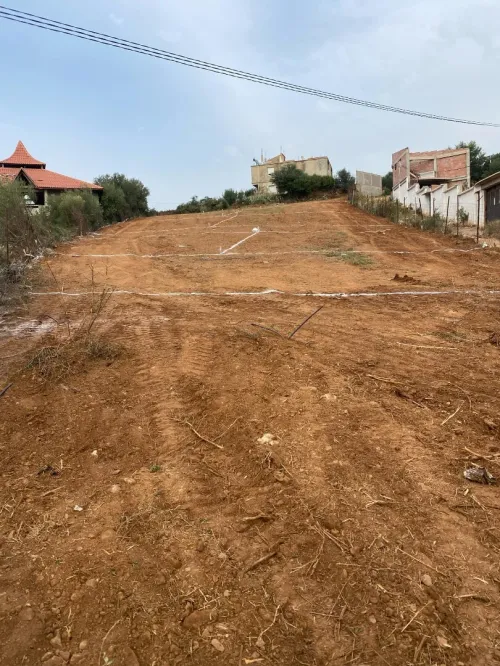 Vente Terrain Boumerdès El kharrouba