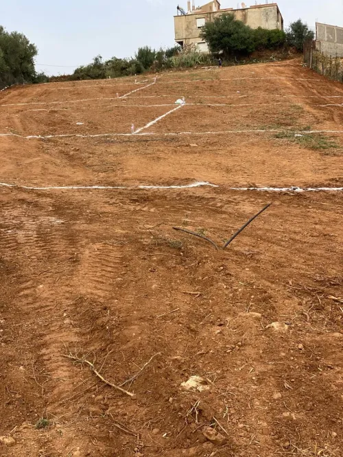 Vente Terrain Boumerdès El kharrouba