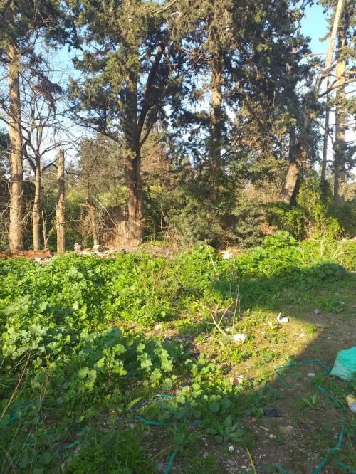 Vente Terrain Blida Soumaa