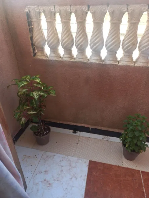 Vente bien immobilier Alger Belouizdad