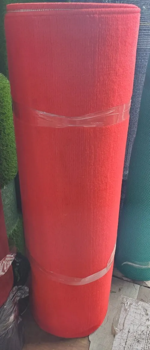 Tapis Rouge officiel et Tapis de couloir