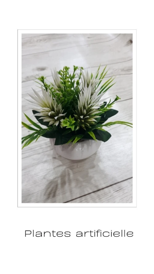 Plantes Artificielles