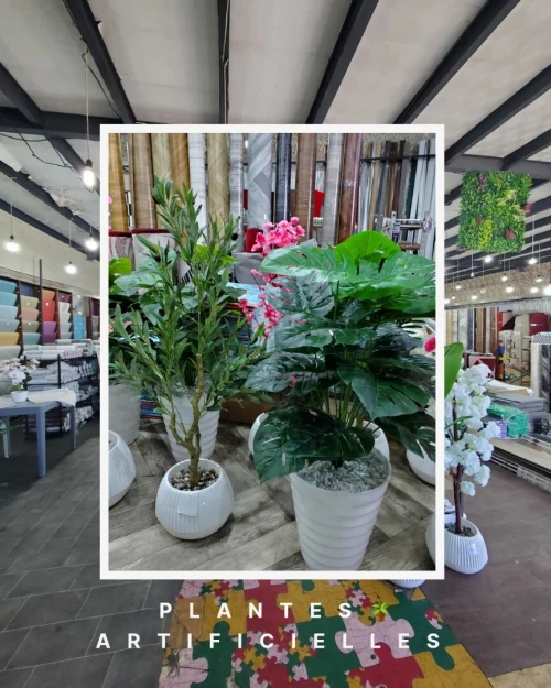 Plantes Artificielles