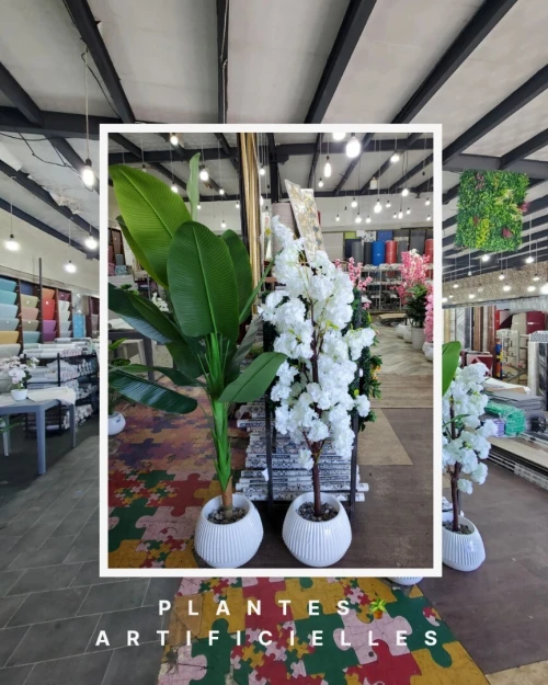 Plantes Artificielles