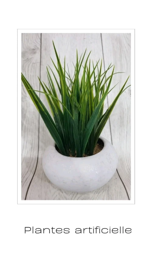 Plantes artificiel