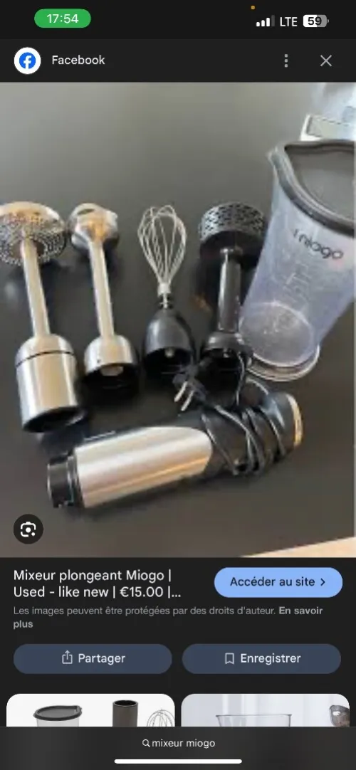 Mixeurs plongeant miogo