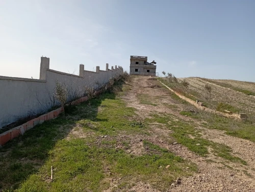 Vente Terrain Agricole Oran Ain el kerma