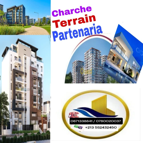 Cherche achat bien immobilier Aïn Defla Khemis miliana