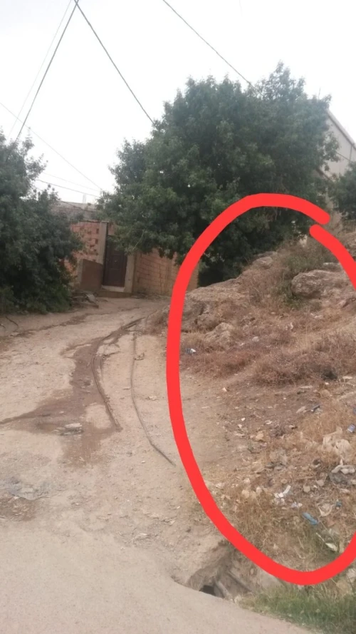 Vente Terrain Aïn Defla Miliana