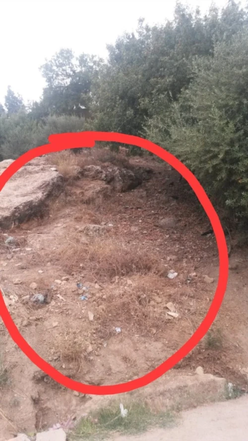 Vente Terrain Aïn Defla Miliana