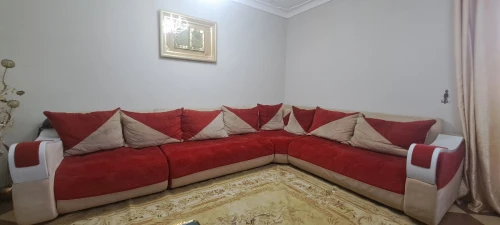 Salon L anti tache 