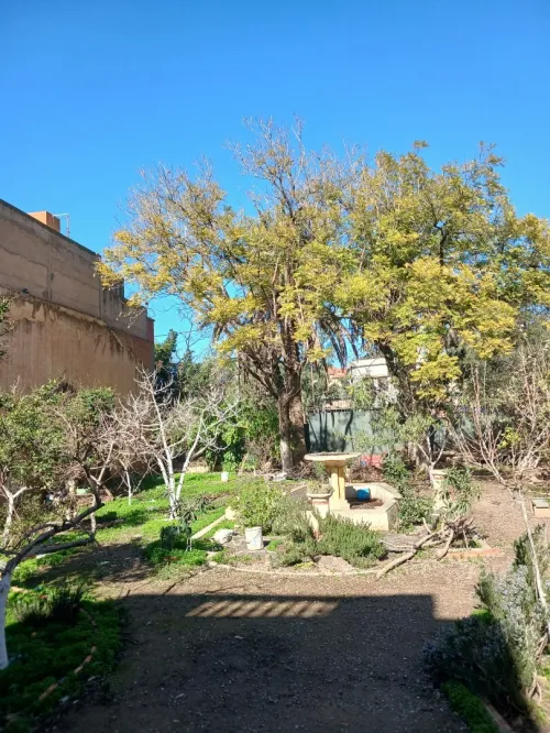 Vente Villa Aïn Témouchent Ain temouchent