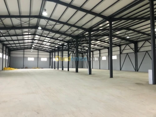 Location Hangar Blida Larbaa
