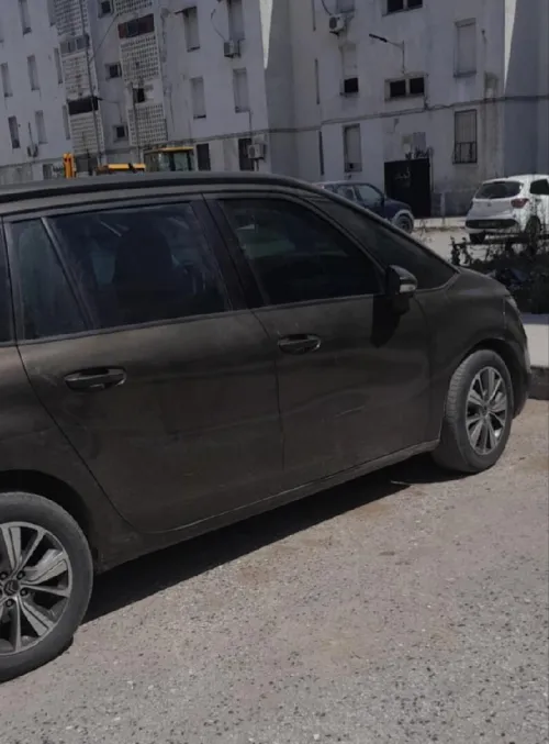 C4 Picasso C4 2014 