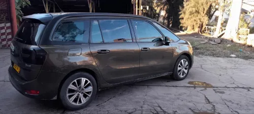 C4 Picasso C4 2014 