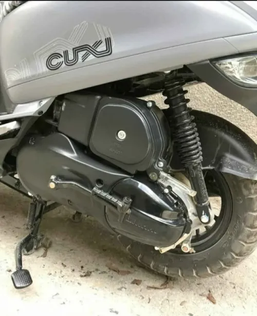 Coxi 2 Coxi 2 gris nardo 2025