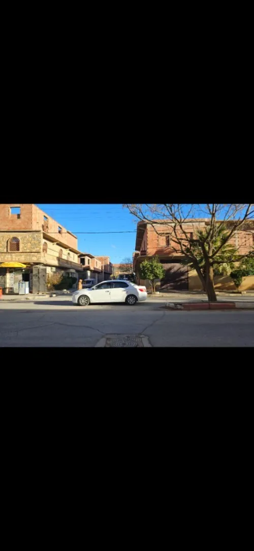 Vente Terrain Tiaret Sougueur