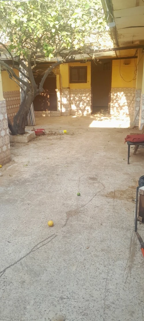 Vente bien immobilier Tipaza Cherchell