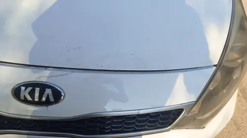 Kia Rio 5 portes 2015 Funny