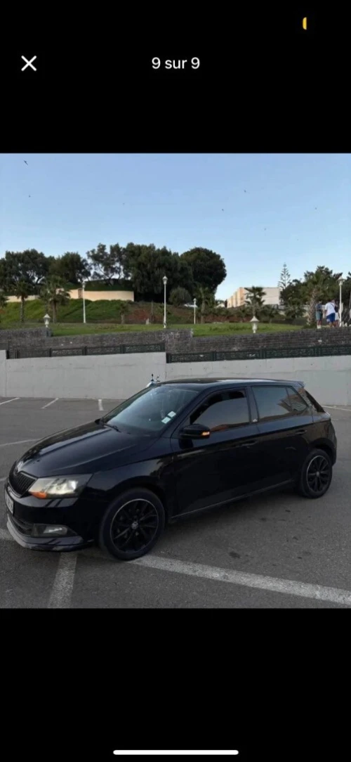 Skoda Fabia 2018 Monte Carlo