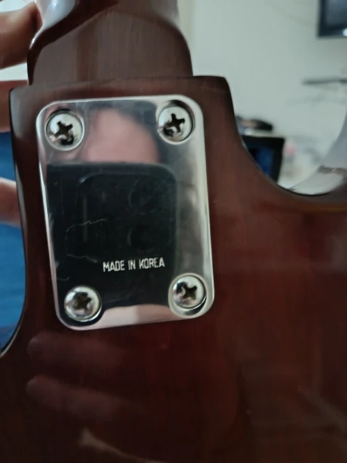 Guitare Basse Michigan (Made in Korea) + Hard Case
