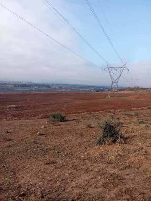 Vente Terrain Aïn Defla Ain soltane