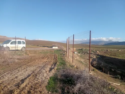 Vente Terrain Agricole Aïn Defla Oued djemaa
