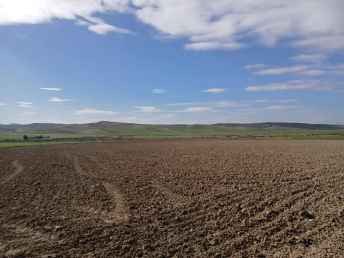 Vente Terrain Agricole Aïn Defla Oued djemaa