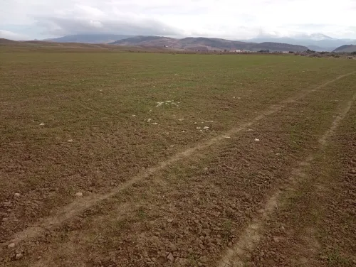 Vente Terrain Agricole Aïn Defla Oued djemaa