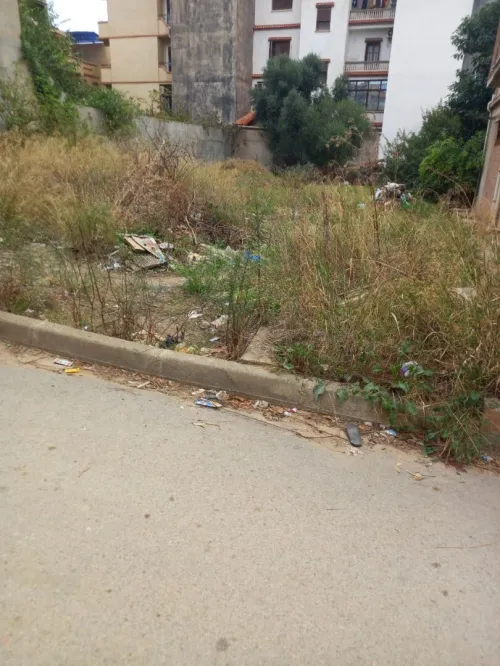 Vente Terrain Alger Khraissia