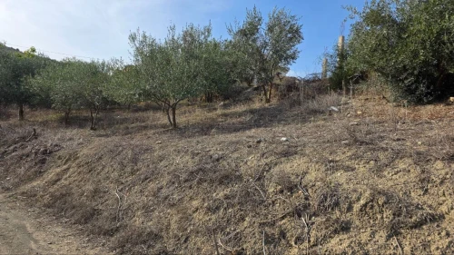Vente Terrain Sétif Hammam guergour