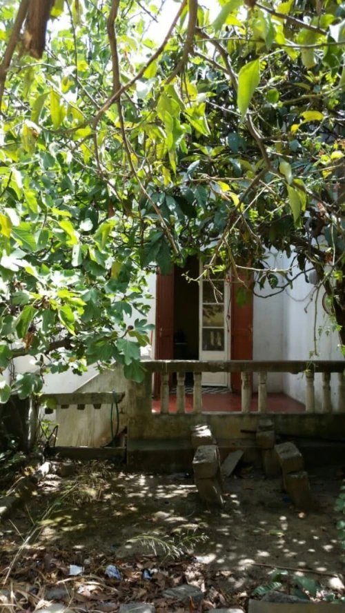 Location Villa Skikda Skikda