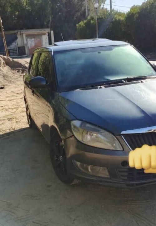 Skoda Fabia 2014 Fresh