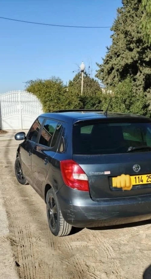 Skoda Fabia 2014 Fresh