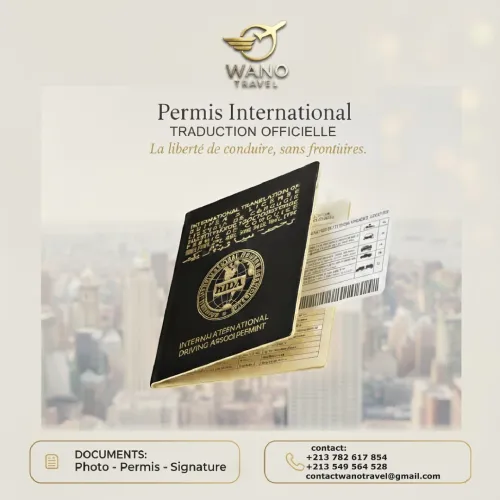 permis de conduire international