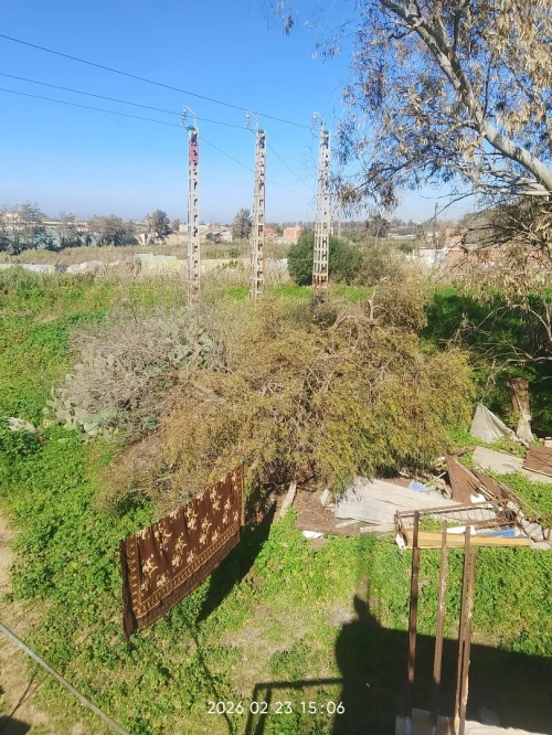 Vente Terrain Agricole Alger Staoueli
