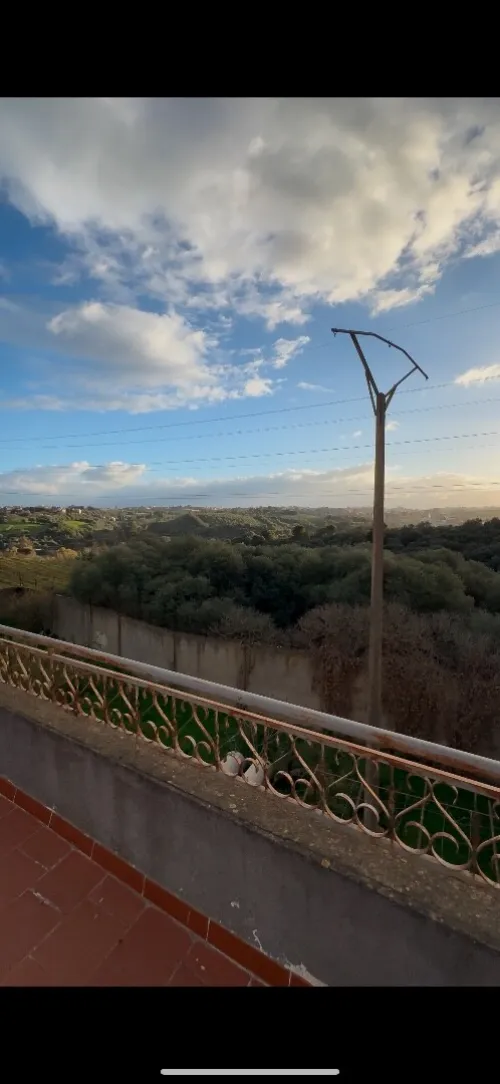 Vente Terrain Alger Draria
