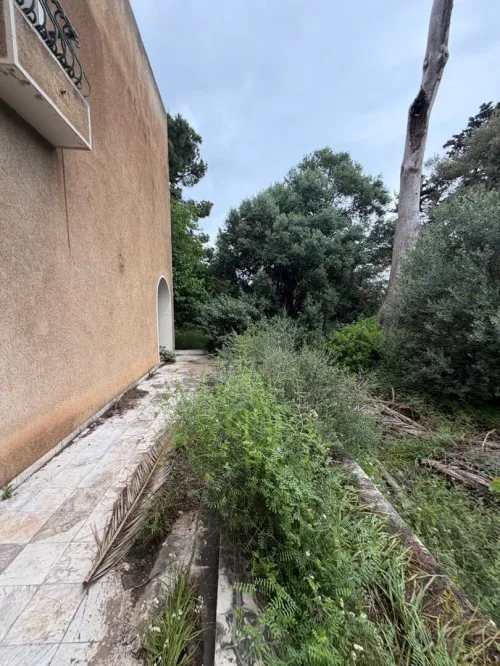 Vente Terrain Alger El biar 8
